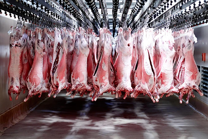 KSA Slaughterhouses