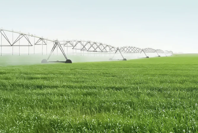 KSA Agricultural projects